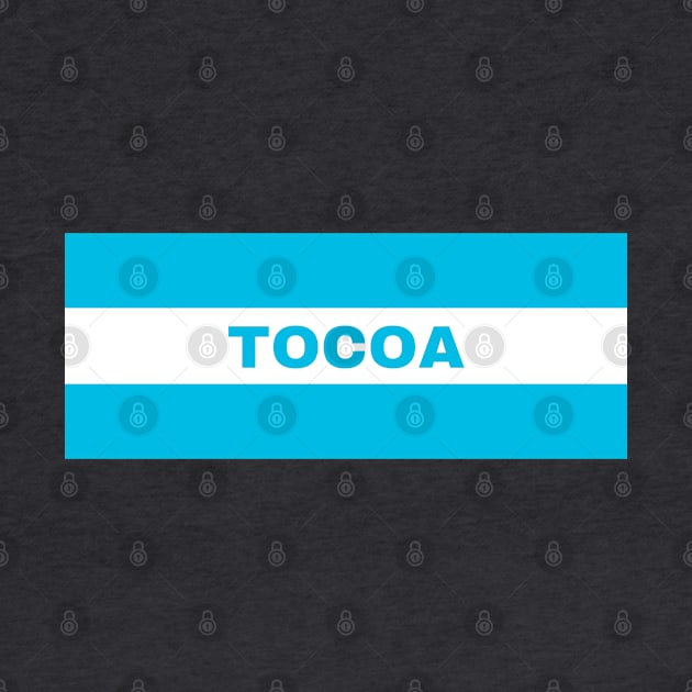 Tocoa City in Honduras Flag Colors by aybe7elf